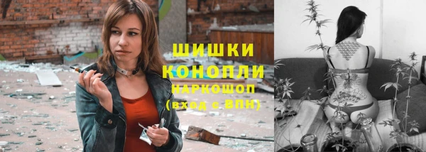 винт Абаза